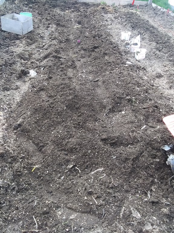 Christopher Greaves SecondEssays_20240517_153510.jpg